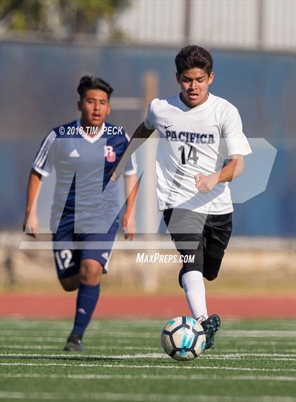 Thumbnail 2 in Pacifica @ Bolsa Grande photogallery.