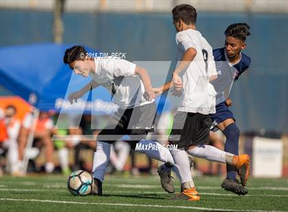 Thumbnail 1 in Pacifica @ Bolsa Grande photogallery.