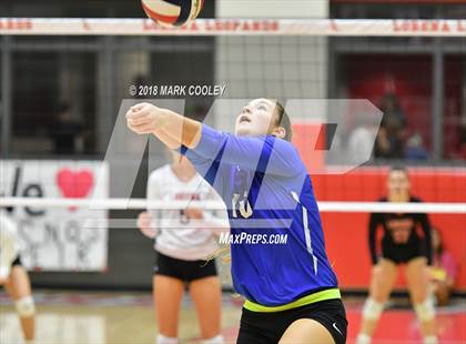 Thumbnail 2 in Robinson @ Lorena photogallery.