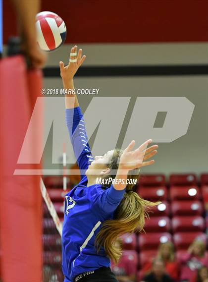 Thumbnail 1 in Robinson @ Lorena photogallery.