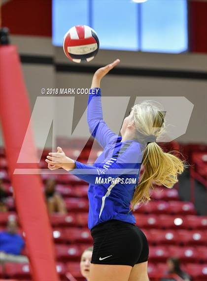 Thumbnail 1 in Robinson @ Lorena photogallery.