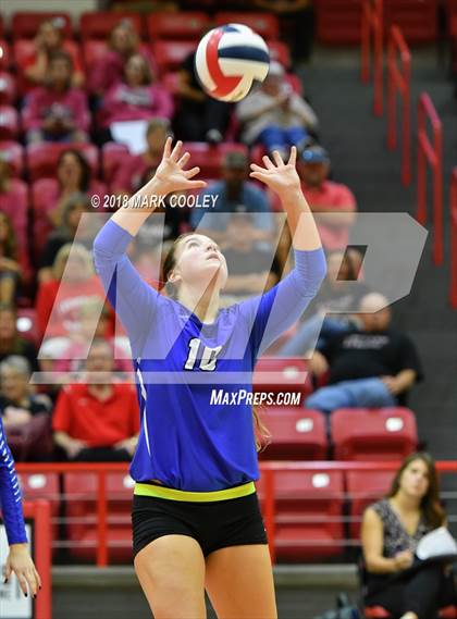 Thumbnail 1 in Robinson @ Lorena photogallery.