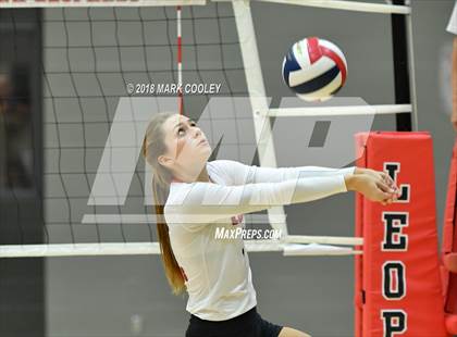 Thumbnail 3 in Robinson @ Lorena photogallery.