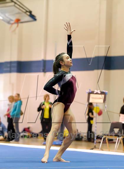 Thumbnail 1 in CHSAA 5A State Gymnastics Championships photogallery.