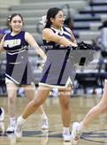 Photo from the gallery "Ironwood @ Apollo"