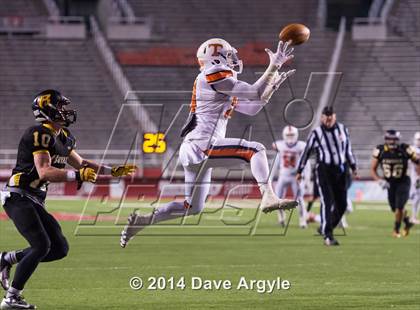 Thumbnail 1 in Roy vs. Timpview (UHSAA 4A Final) photogallery.