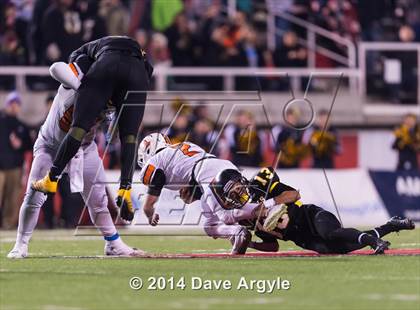 Thumbnail 3 in Roy vs. Timpview (UHSAA 4A Final) photogallery.