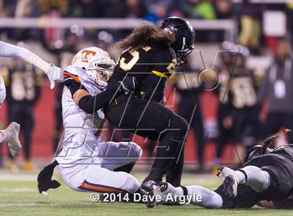 Thumbnail 2 in Roy vs. Timpview (UHSAA 4A Final) photogallery.