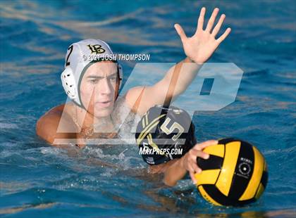 Thumbnail 1 in Long Beach Poly @ Don Lugo photogallery.