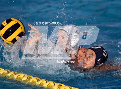 Thumbnail 2 in Long Beach Poly @ Don Lugo photogallery.