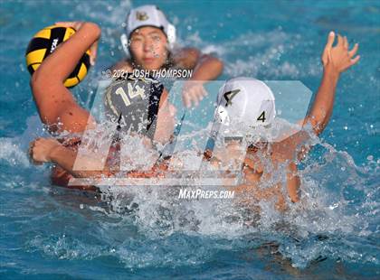 Thumbnail 2 in Long Beach Poly @ Don Lugo photogallery.
