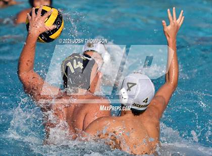 Thumbnail 1 in Long Beach Poly @ Don Lugo photogallery.