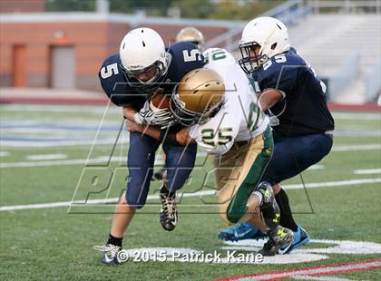 Thumbnail 3 in Langley @ Washington-Lee photogallery.