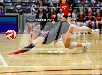 Thumbnail 1 in Randall vs. Salado (UIL 4A Volleyball Semi-Final) photogallery.