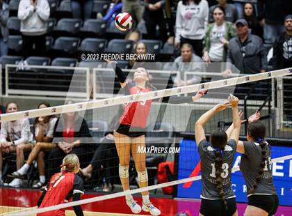Thumbnail 2 in Randall vs. Salado (UIL 4A Volleyball Semi-Final) photogallery.