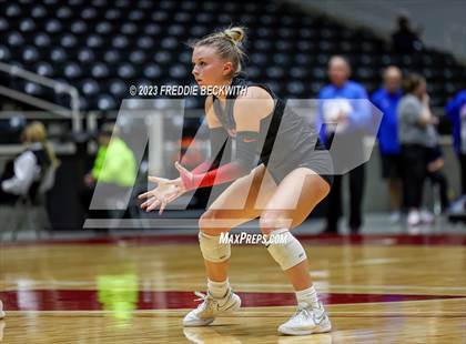 Thumbnail 1 in Randall vs. Salado (UIL 4A Volleyball Semi-Final) photogallery.
