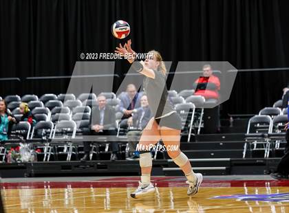 Thumbnail 2 in Randall vs. Salado (UIL 4A Volleyball Semi-Final) photogallery.