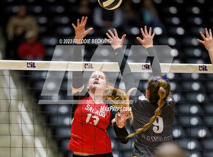 Thumbnail 1 in Randall vs. Salado (UIL 4A Volleyball Semi-Final) photogallery.