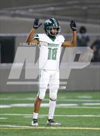 Photo from the gallery "Rodriguez @ West Park"