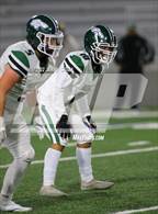 Photo from the gallery "Rodriguez @ West Park"