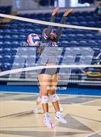 Photo from the gallery "Galena Park @ Carnegie Vanguard"