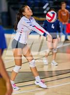 Photo from the gallery "Galena Park @ Carnegie Vanguard"