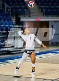 Photo from the gallery "Galena Park @ Carnegie Vanguard"