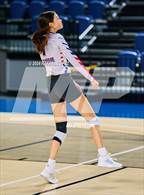 Photo from the gallery "Galena Park @ Carnegie Vanguard"