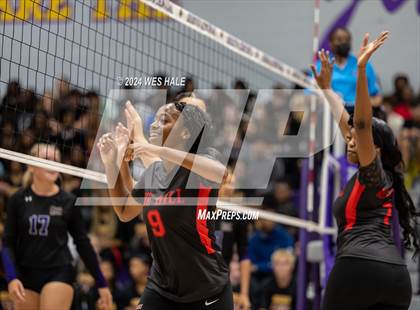 Thumbnail 3 in Center Hill @ DeSoto Central photogallery.