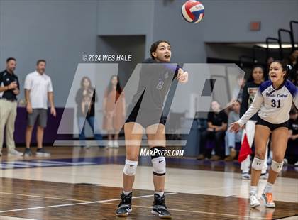 Thumbnail 3 in Center Hill @ DeSoto Central photogallery.