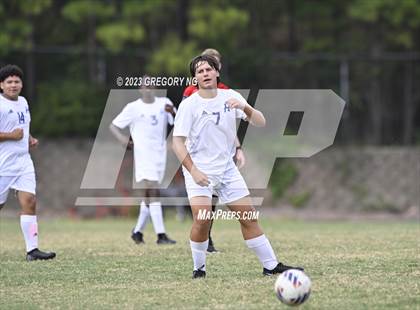 Thumbnail 1 in Hunt @ Panther Creek photogallery.