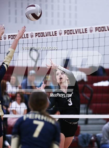 Thumbnail 3 in Graford vs Perrin-Whitt photogallery.