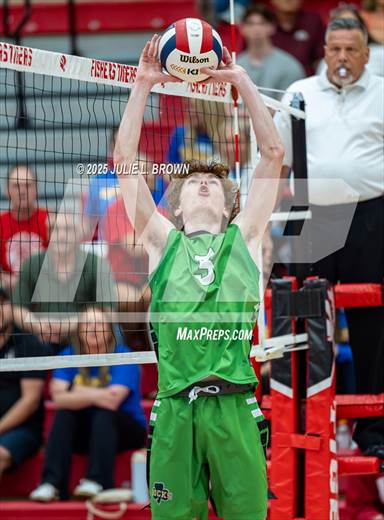 null - Photo 31
