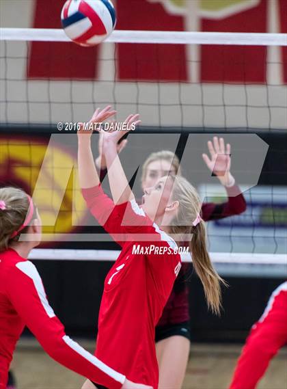 Thumbnail 3 in Ponderosa vs. Durango (Mustang Classic Tournament) photogallery.