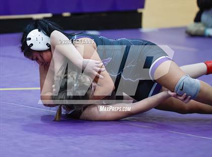 Thumbnail 1 in GHSA D2 Duals Championship (Round of 8) photogallery.
