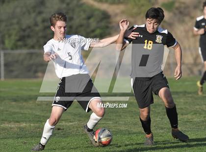 Thumbnail 1 in Sunny Hills @ Brea Olinda photogallery.
