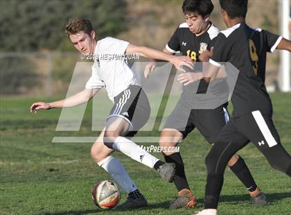 Thumbnail 3 in Sunny Hills @ Brea Olinda photogallery.