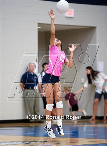 Thumbnail 2 in Lovejoy @ Wylie East photogallery.