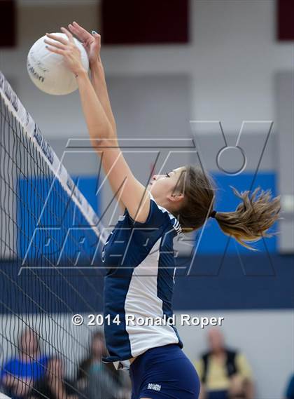 Thumbnail 1 in Lovejoy @ Wylie East photogallery.