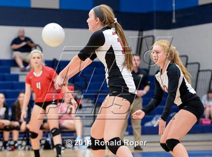 Thumbnail 1 in Lovejoy @ Wylie East photogallery.