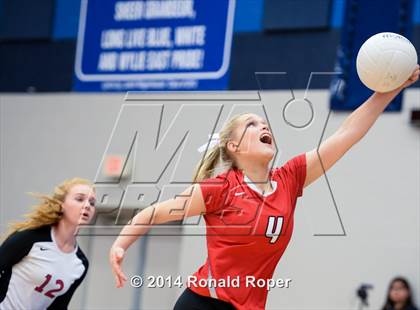 Thumbnail 2 in Lovejoy @ Wylie East photogallery.