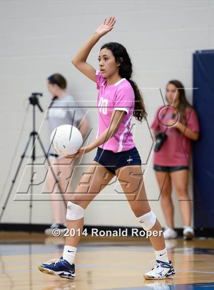 Thumbnail 1 in Lovejoy @ Wylie East photogallery.