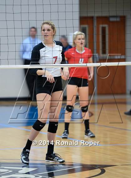 Thumbnail 3 in Lovejoy @ Wylie East photogallery.
