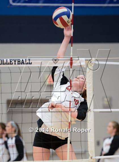 Thumbnail 1 in Lovejoy @ Wylie East photogallery.