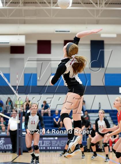 Thumbnail 2 in Lovejoy @ Wylie East photogallery.