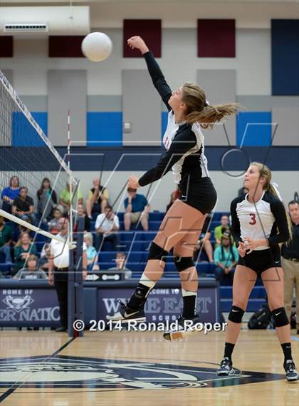 Thumbnail 1 in Lovejoy @ Wylie East photogallery.
