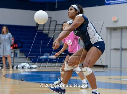 Thumbnail 3 in Lovejoy @ Wylie East photogallery.