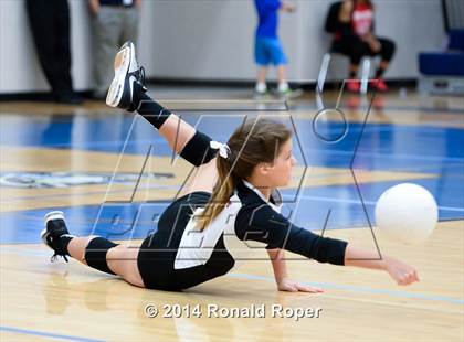 Thumbnail 3 in Lovejoy @ Wylie East photogallery.