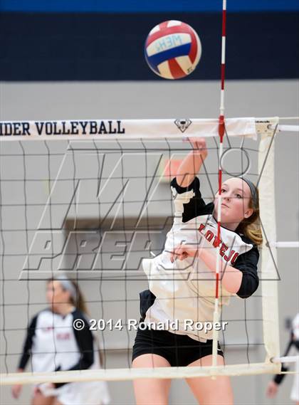 Thumbnail 2 in Lovejoy @ Wylie East photogallery.