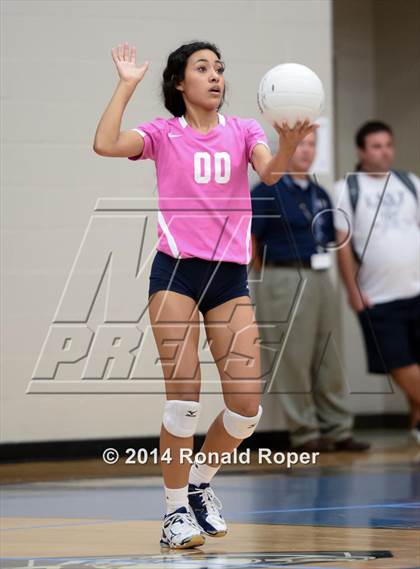 Thumbnail 1 in Lovejoy @ Wylie East photogallery.